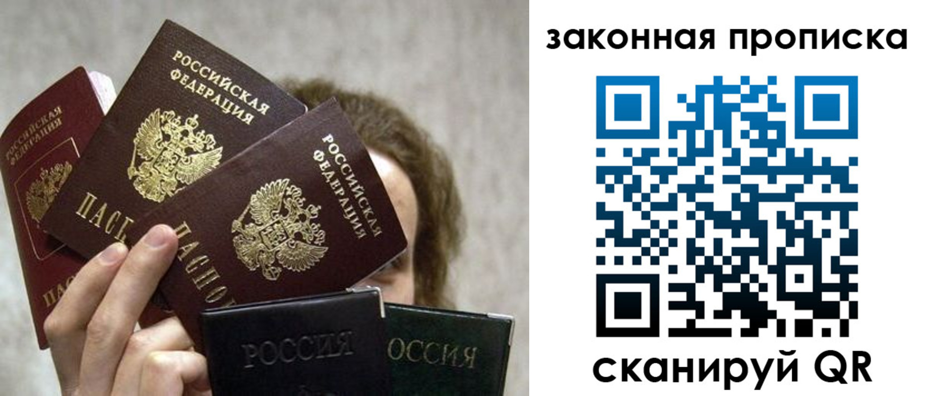 прописка законно в Курчатове